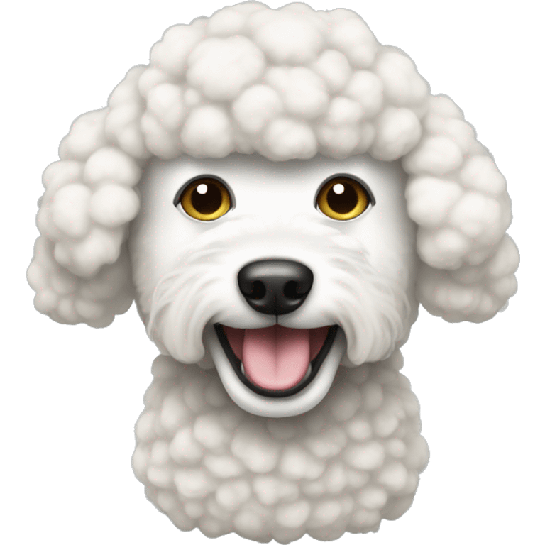 A white poodle dressing up like a sheep emoji