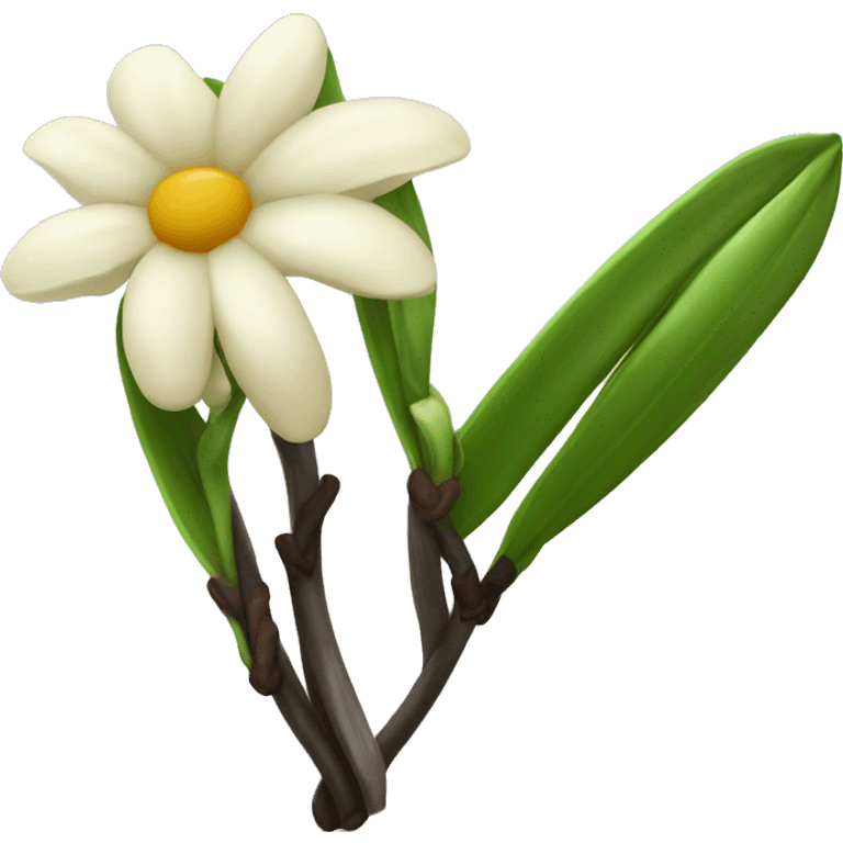  vanilla beans with flower emoji