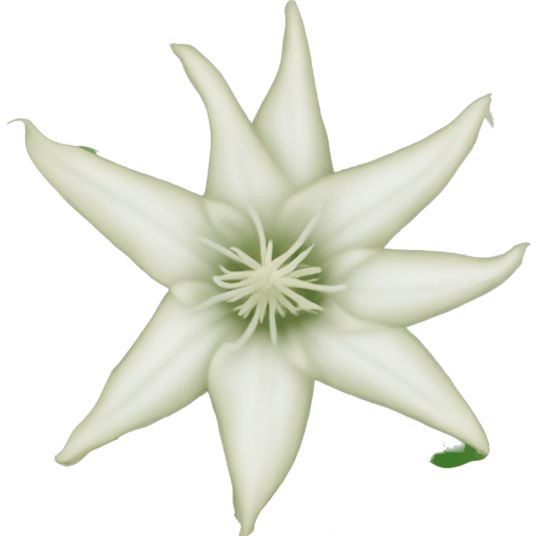 Datura flower emoji