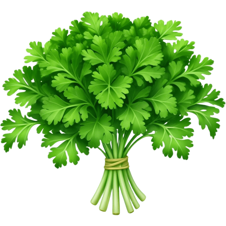 Cinematic Realistic Parsley Emoji, Fresh and vibrant, with bright green, frilly leaves that seem to shimmer with vitality. The plant exudes a sense of healthy growth and aromatic zest, inviting both beauty and flavor into any dish. Soft glowing outline, capturing the essence of freshness, health, and culinary delight in a sprig of parsley! emoji