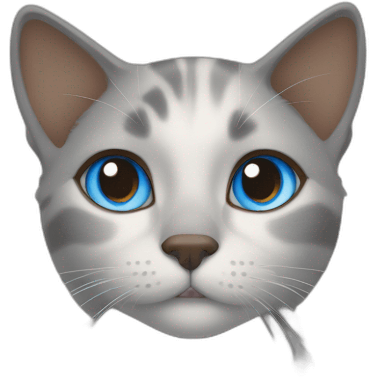 light gray, blue eyed cat cuddles brown highlighted colored girl emoji