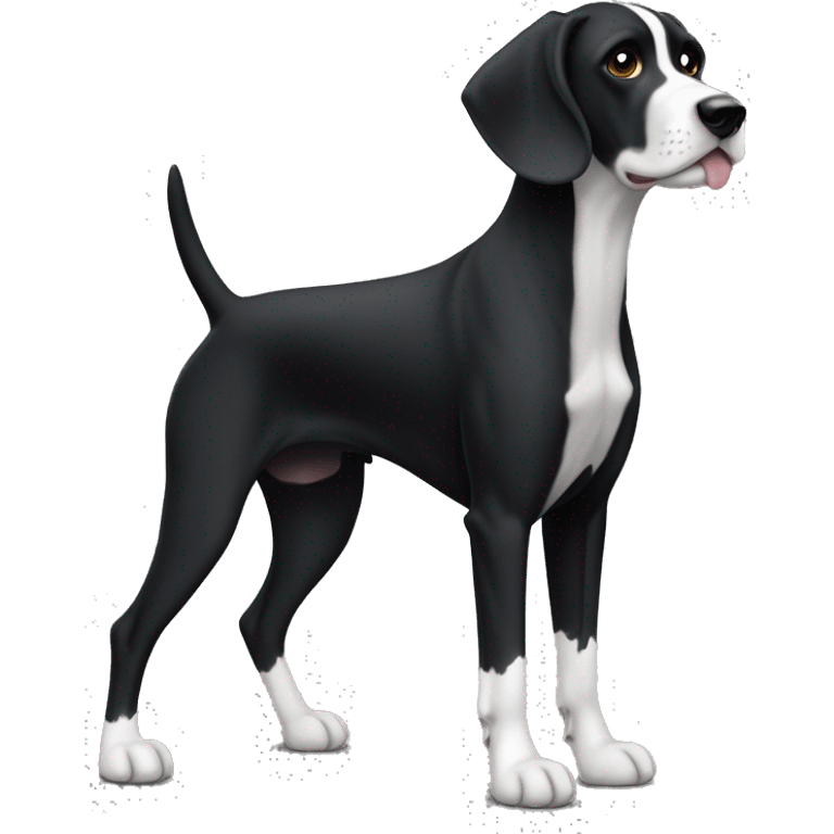 A short-haired pointer dog (full body) with a very black coat and pure white markings (white belly, white feet without spots, and white tip of the long black tail) and and a fully back head with very little white hair on the black snout. emoji