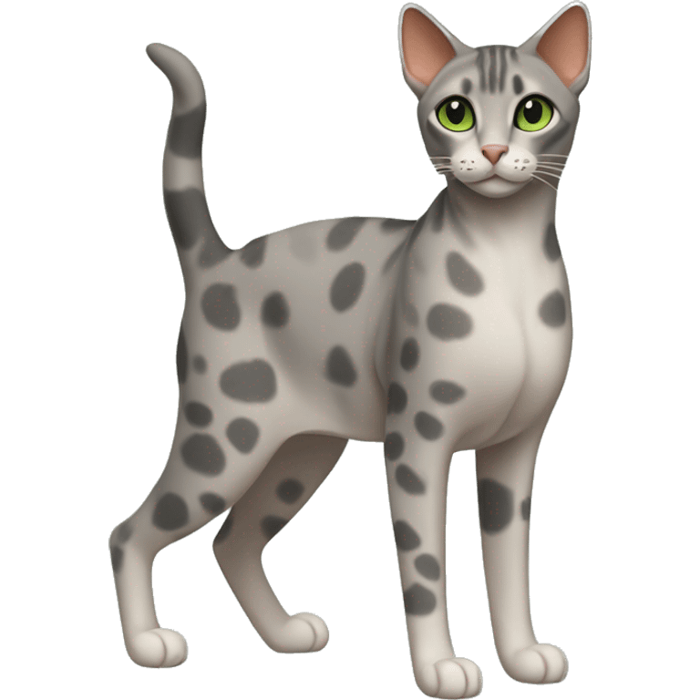 Short-haired oriental cat ,full body , grey coat with spots , green eyes , terracotta nuzzle emoji