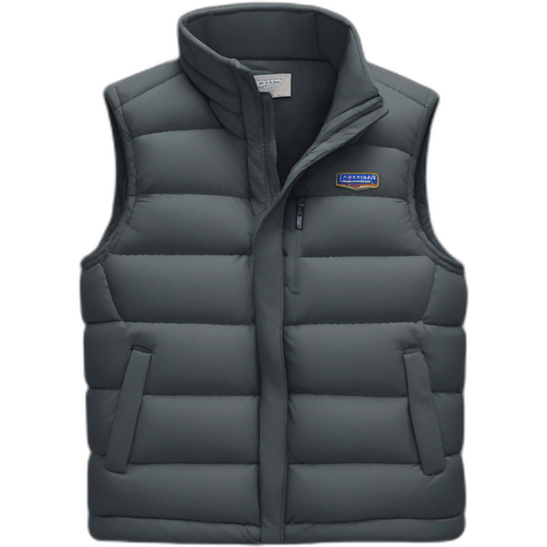 dark gray patagonia gilet emoji