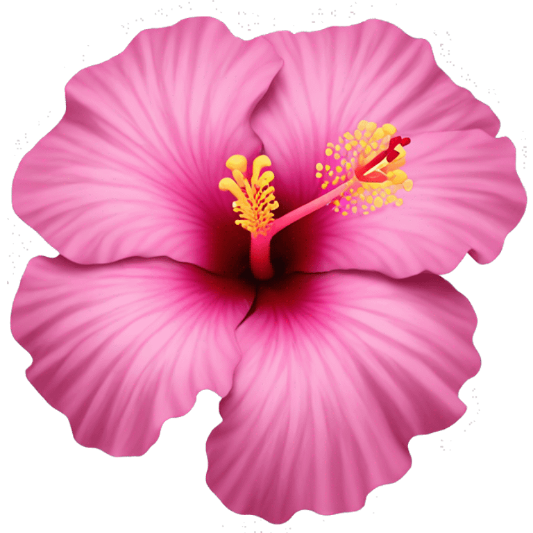 Pink hibiscus flower emoji