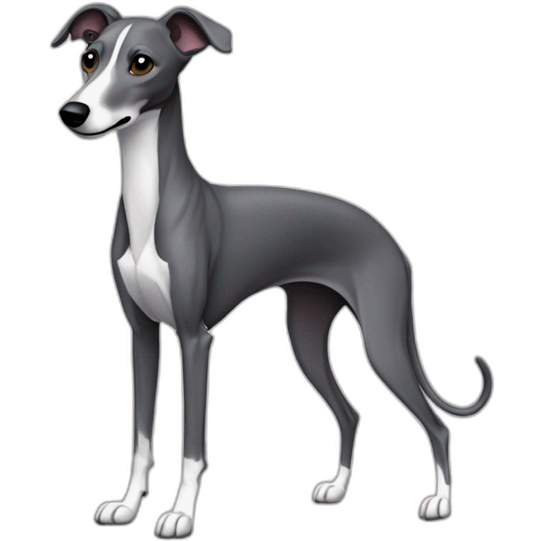 skinny fully dark grey whippet emoji