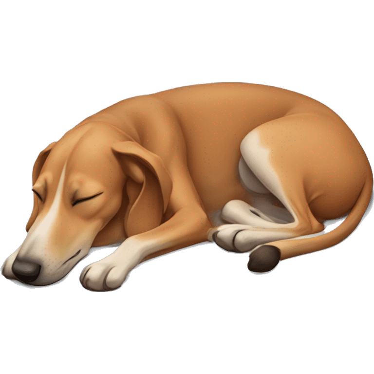 a mudhol hound sleeping emoji