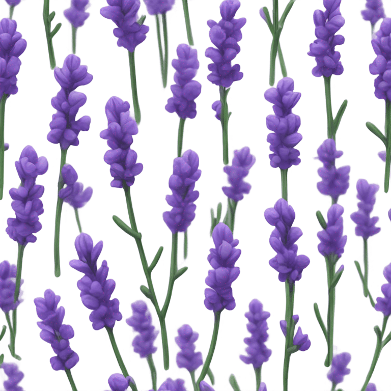 Lavander emoji