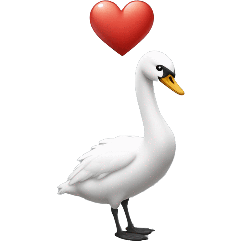 Cisnes haciendo un corazón emoji