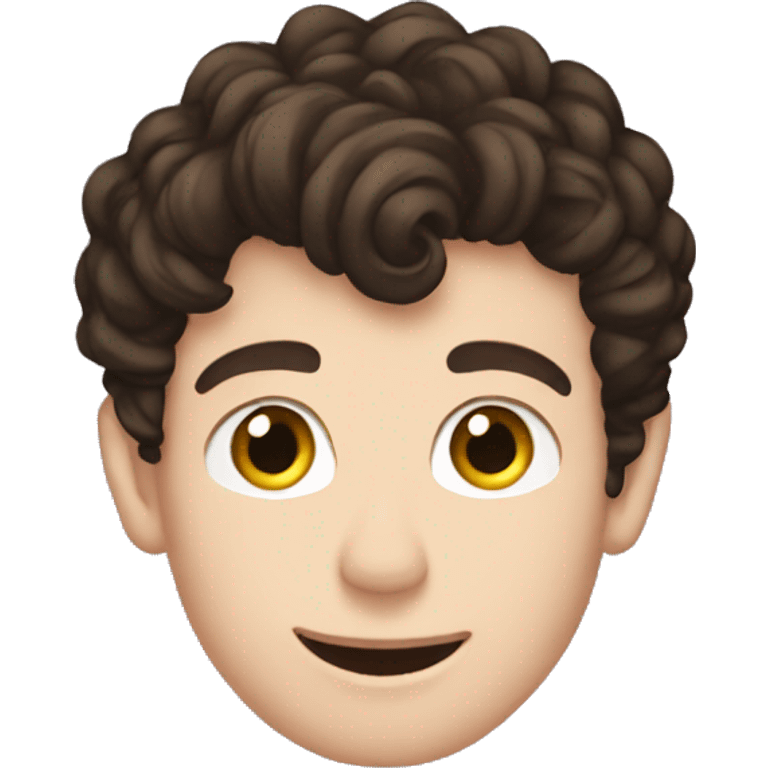 Shawn Mendes  emoji