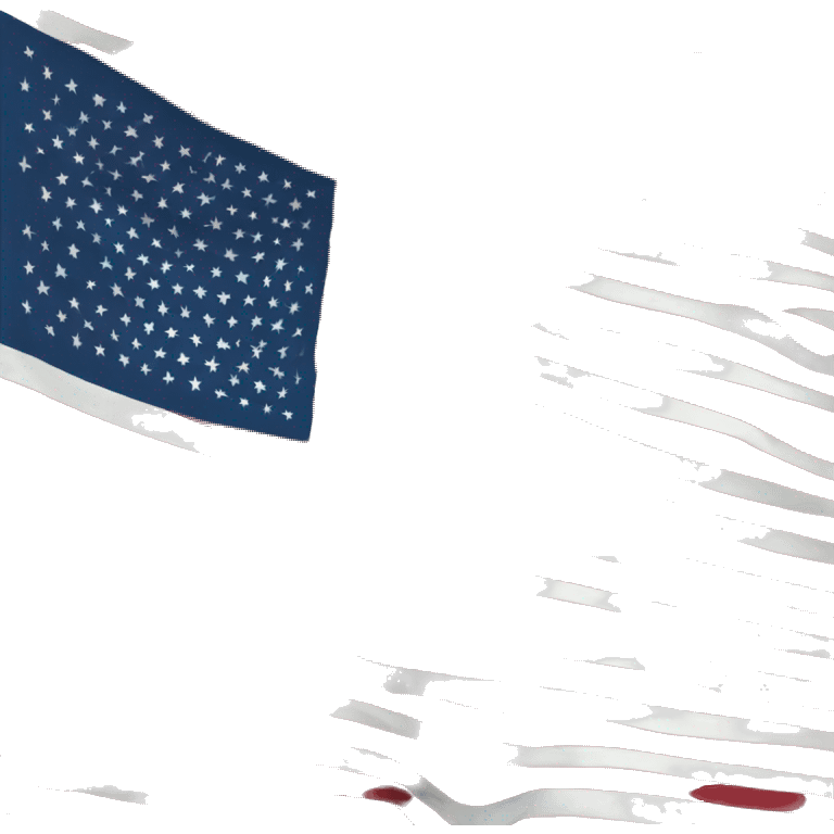 American flag emoji