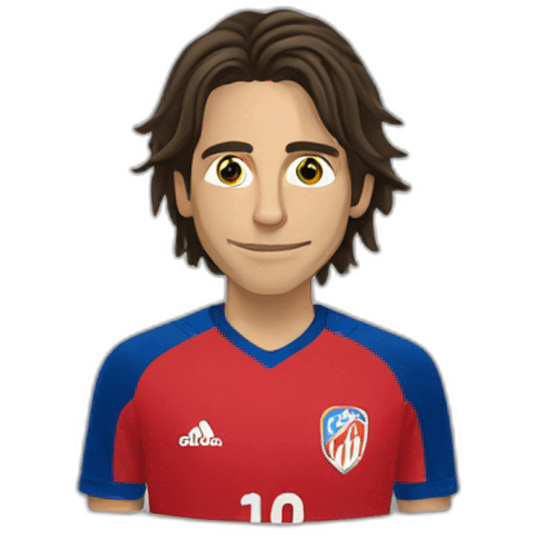 Yann Sommer emoji