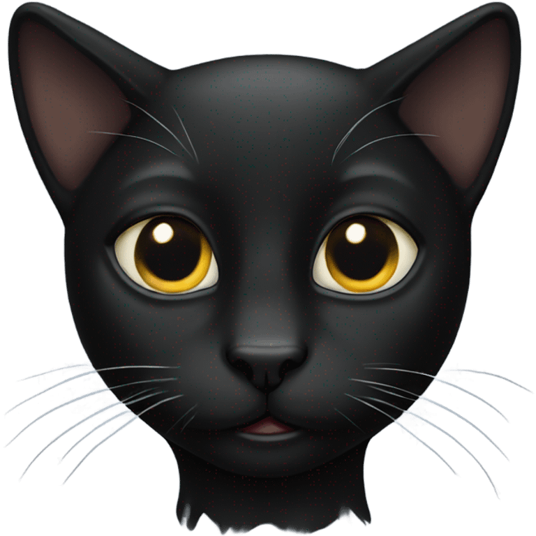 black cat  emoji