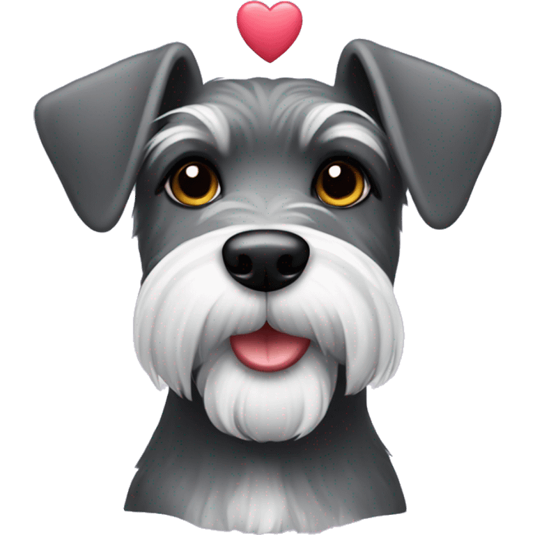 Schnauzer with hearts emoji