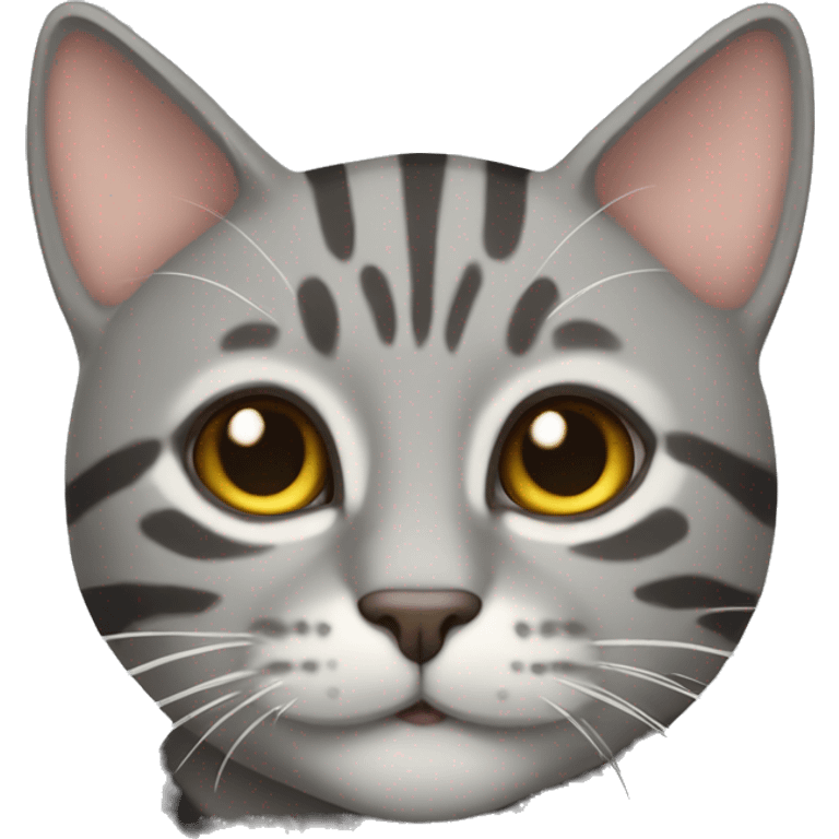 Grey tabby cat emoji