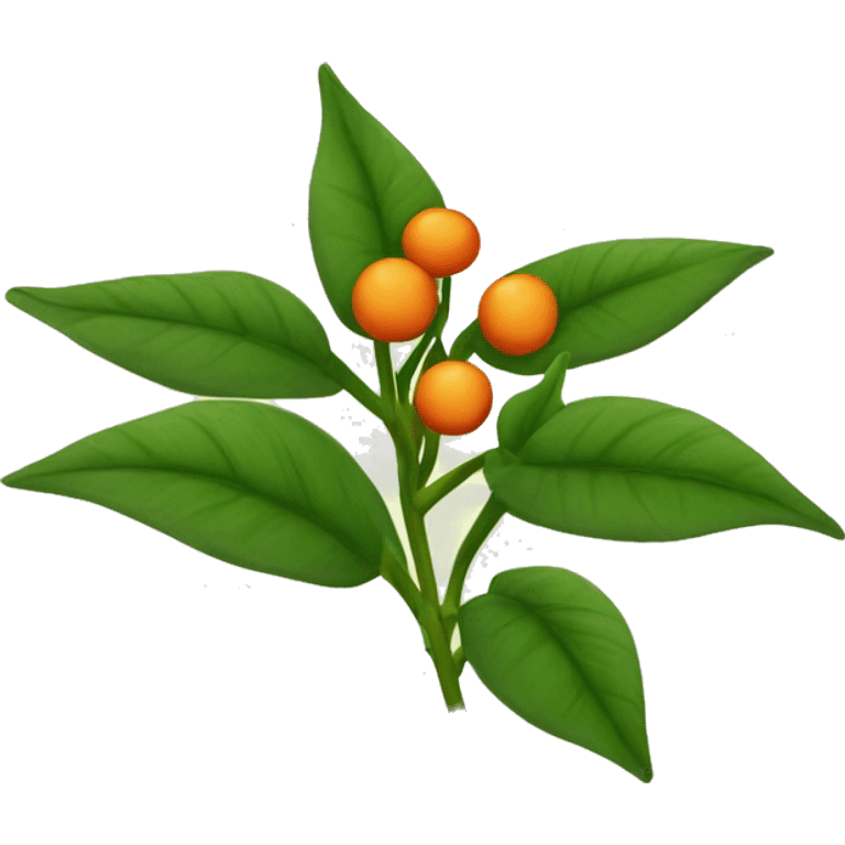 Create an emoji of a plant with a thin, slightly hairy green stem and oval, dark green, serrated leaves in opposite pairs. Add small greenish-yellow star-shaped flowers and round, reddish-orange berries at the leaf axils. emoji