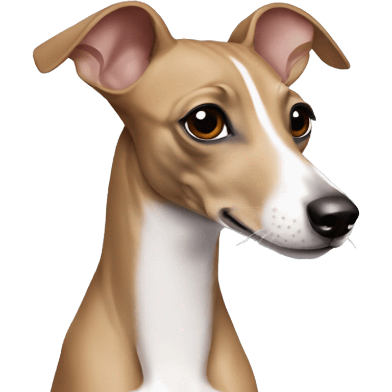 Fawn Italian greyhound  emoji