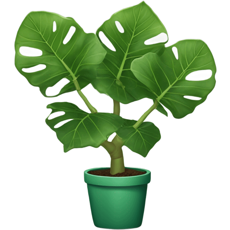 Fiddle leaf fig emoji