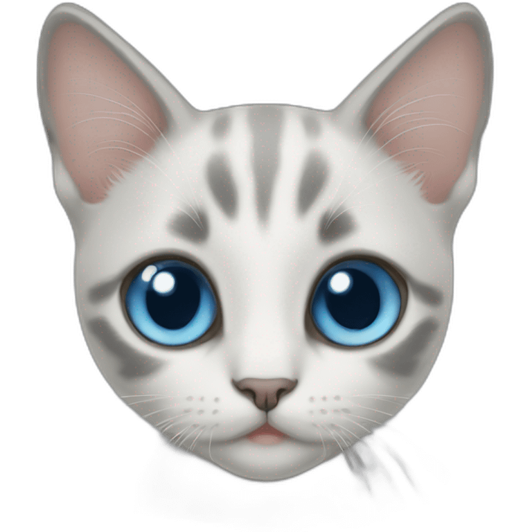 blue eye kitten emoji