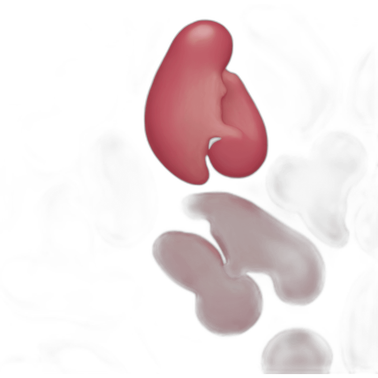 Just Organ Kidneys emoji