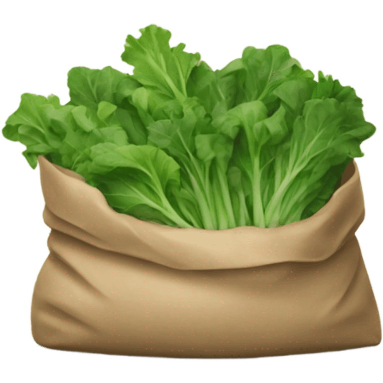 Bag of greens emoji