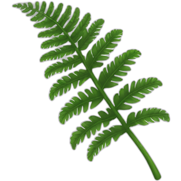 silver fern emoji