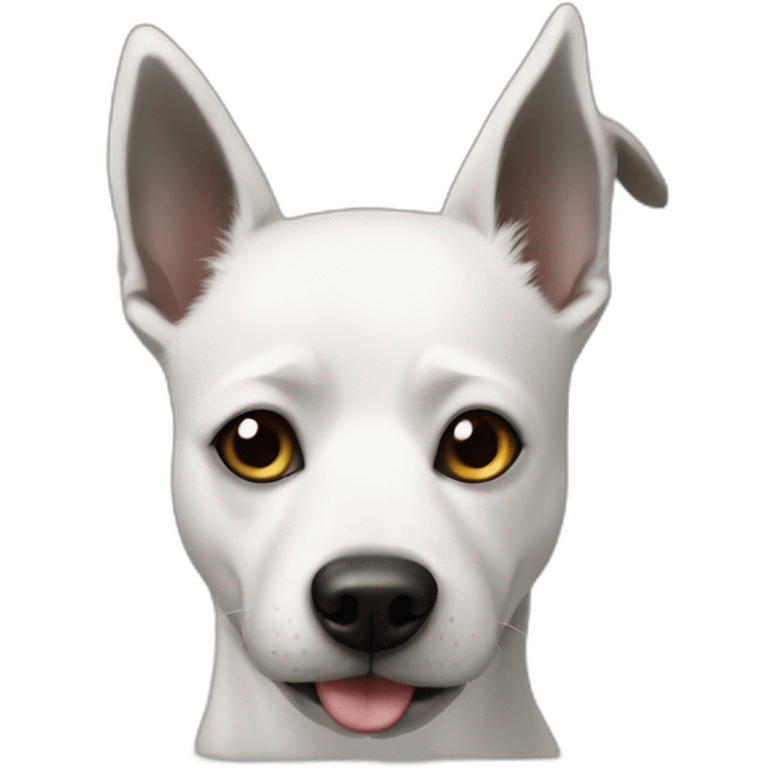 white dog with black manchas in the face mixed like border ollie with short hair emoji