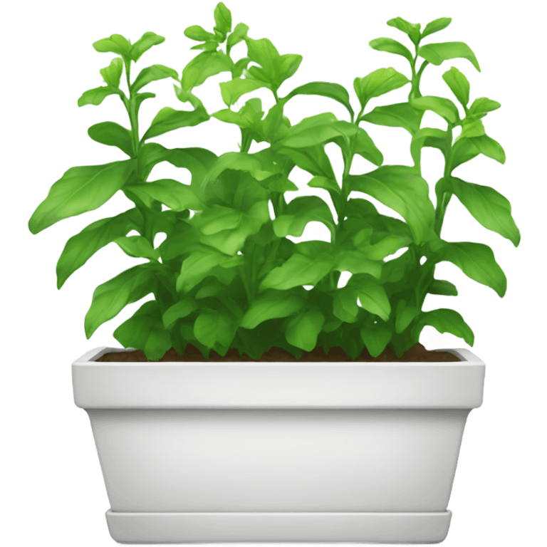 Very Long white rectangular flower pot with green plants only emoji