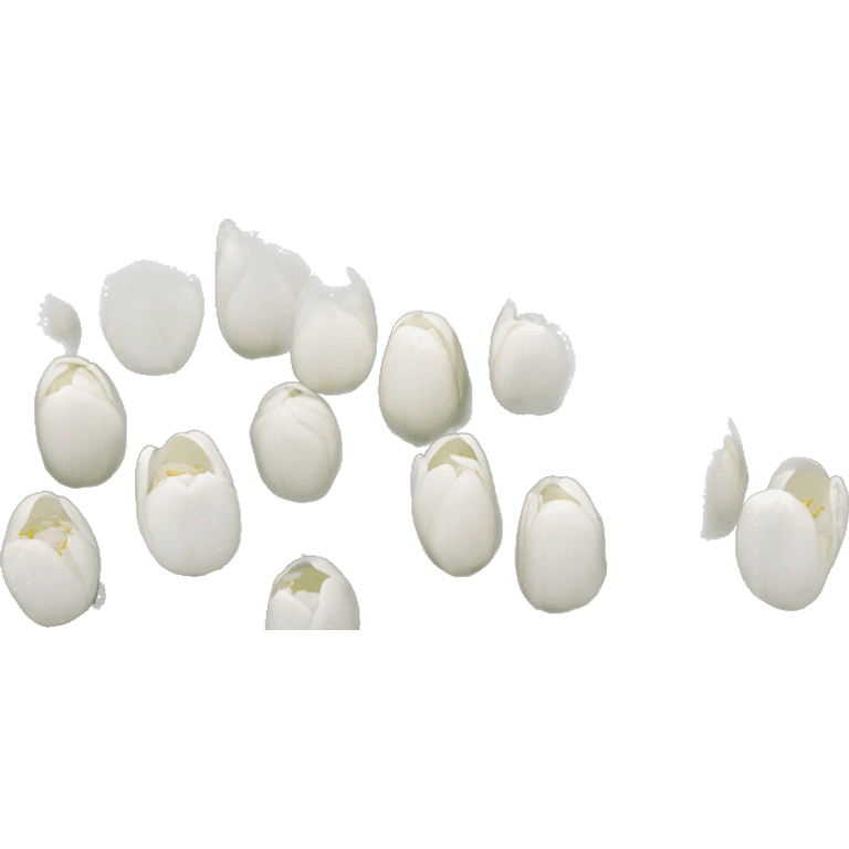 white tulips emoji