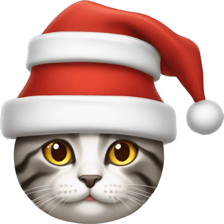 Cat wearing santa Claudia hat  emoji