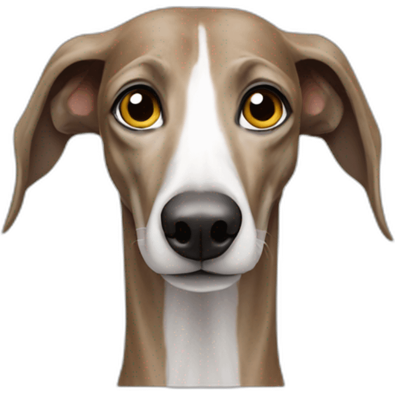 galgo afgano pelo largo emoji