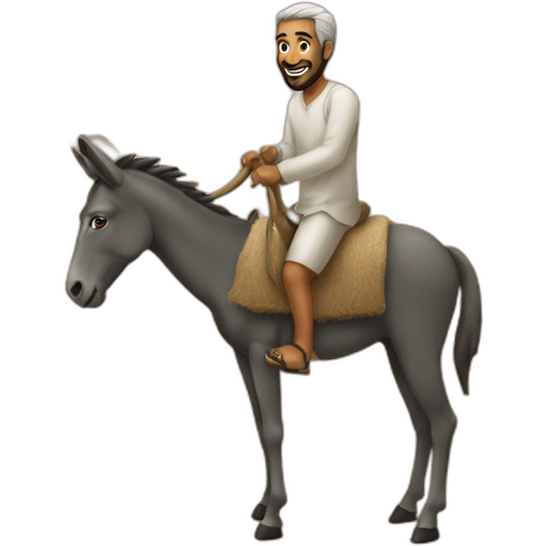 Mohamed 6 on a donkey emoji