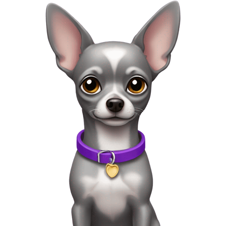 grey chihuahua with purple collar emoji