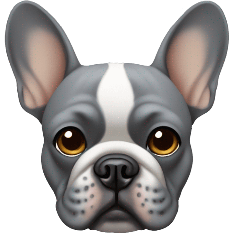 Grey french bulldog face with tan circular eyebrows emoji