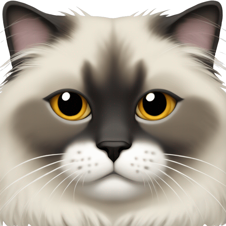 Sleeping himalayan ragdoll cat with full dark face and black fur feet emoji