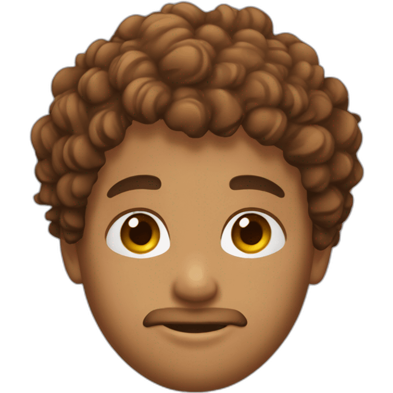 boy with chestnut surfer hair, curly hair only on the top of head, and beard, brown eyed emoji