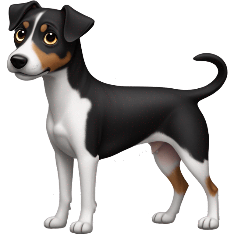 All Black dog Jack Russell Terrier full body emoji