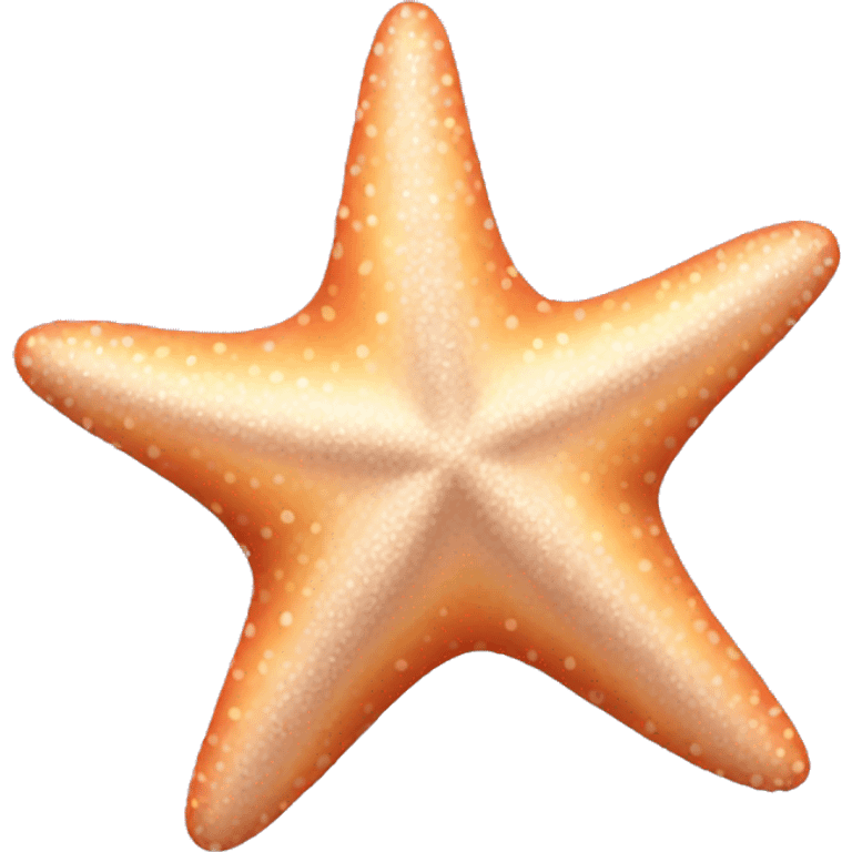 Starfish aesthetic  emoji