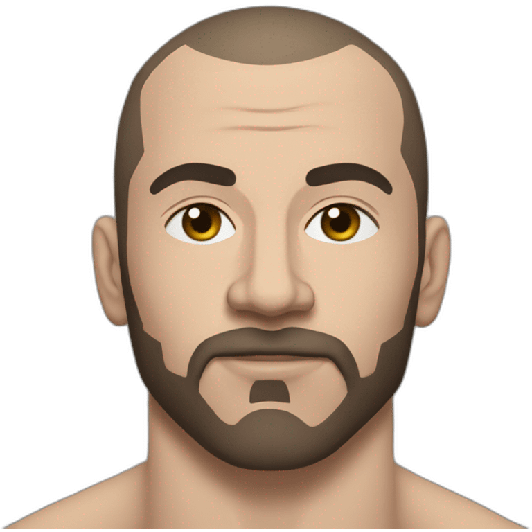 Dagestanian fighter mma emoji