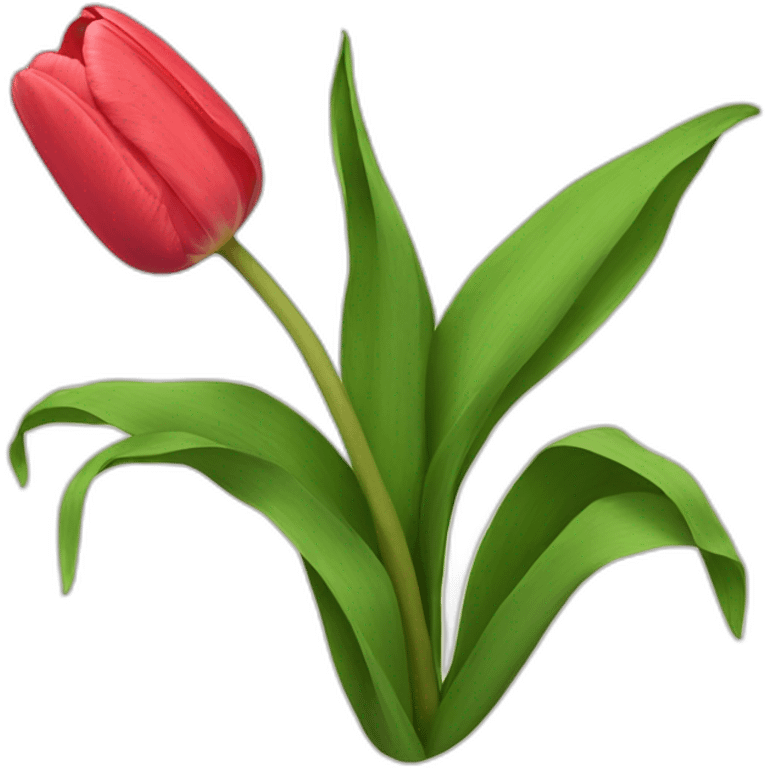 Tulip emoji