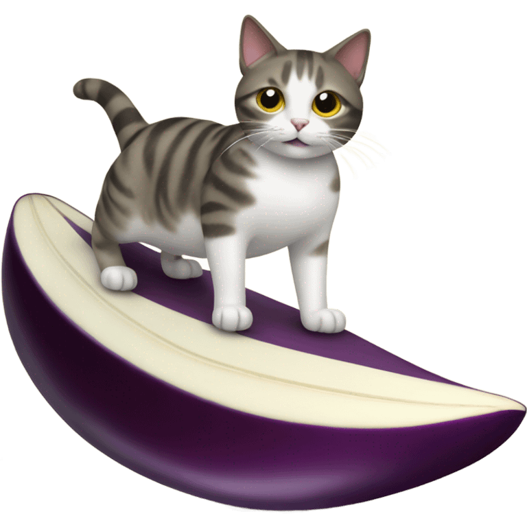 Cat surfing on an eggplant emoji