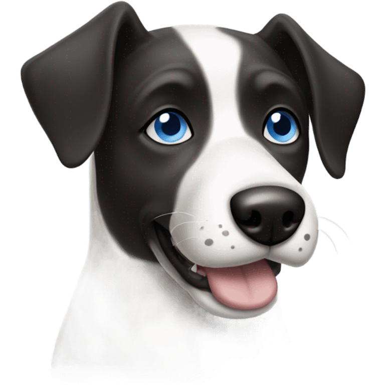 Black and white dog with one blue eye and one brown eye  emoji