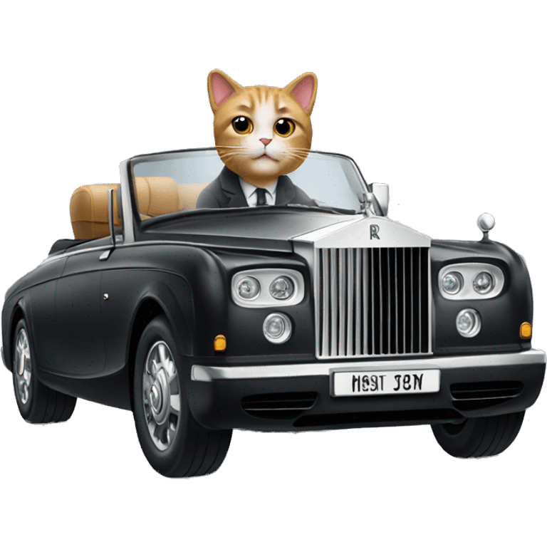 A cat driving rolls royce emoji