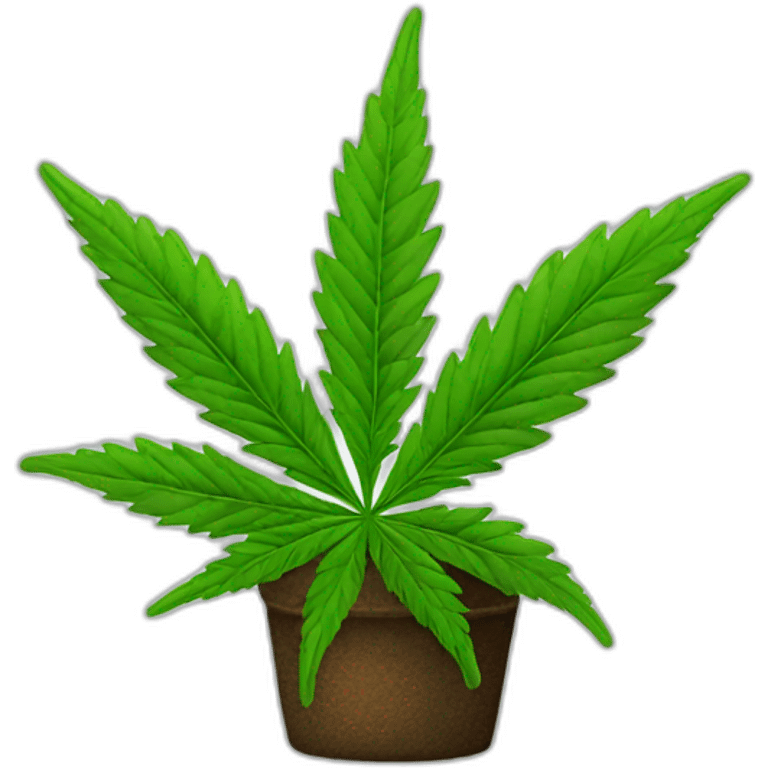 cannabis-plant emoji