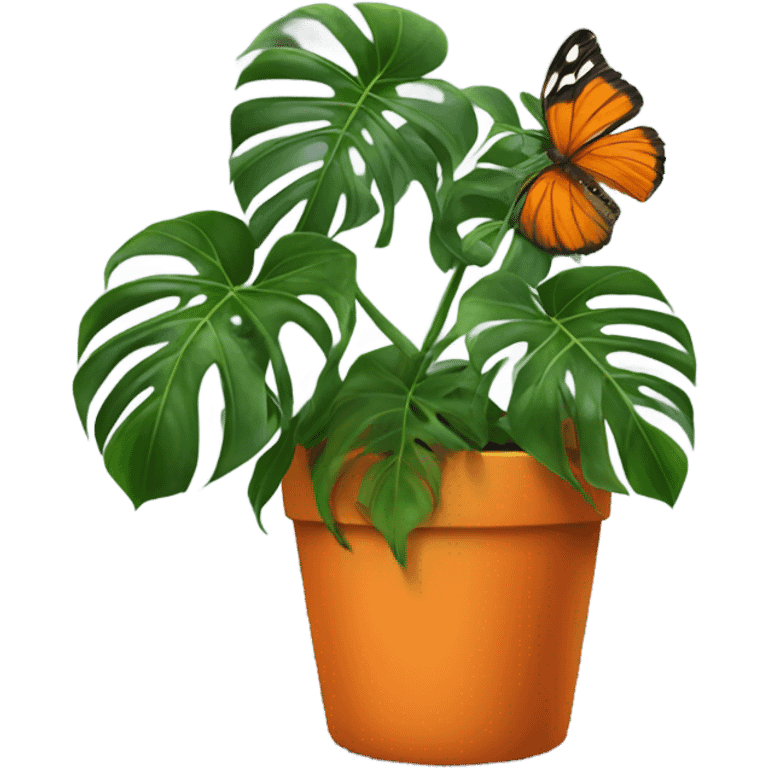 monstera in an aesthetic dark orange pot and on the leaf is an orange butterfly emoji