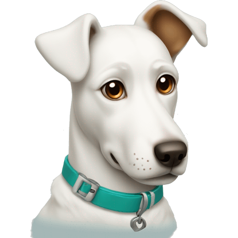 White dog with teal collar and brown spot around one eye  emoji