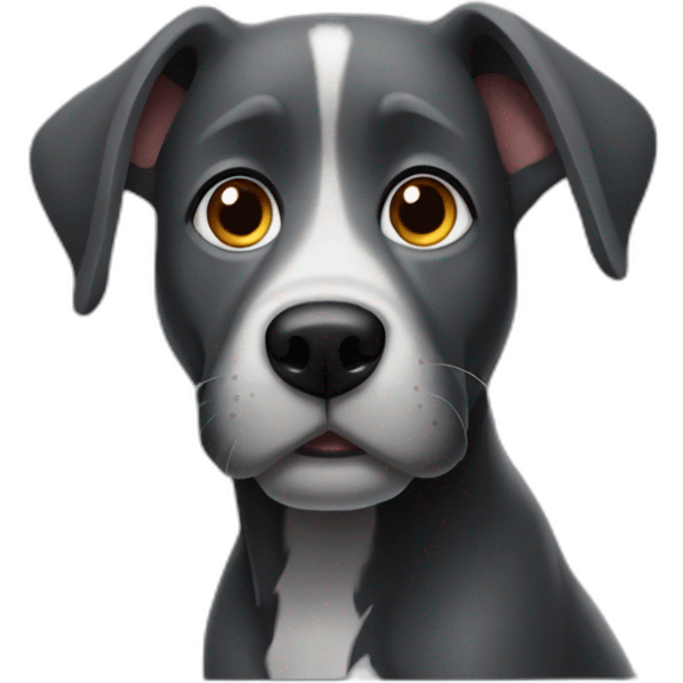 dark gray curious dog emoji