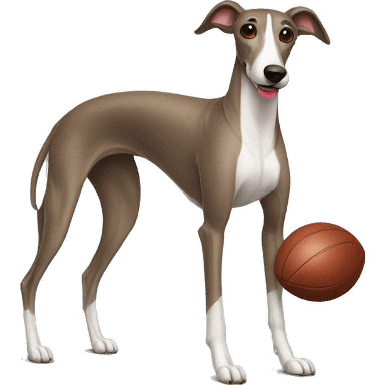 greyhound wearing football jersey emoji