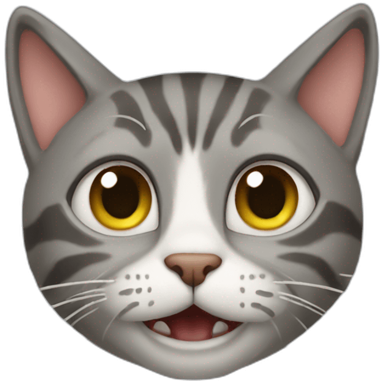 cat crazy emoji