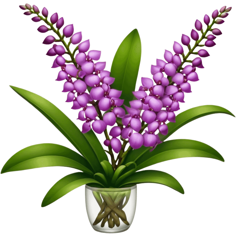 super big bouquet Rhynchostylis Orchid, stem, leaf emoji